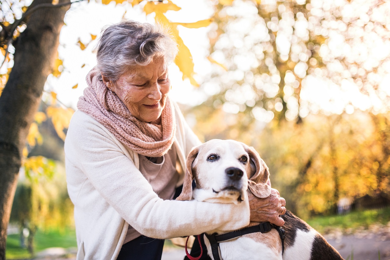 Quais são os benefícios da relação entre idosos e animais?